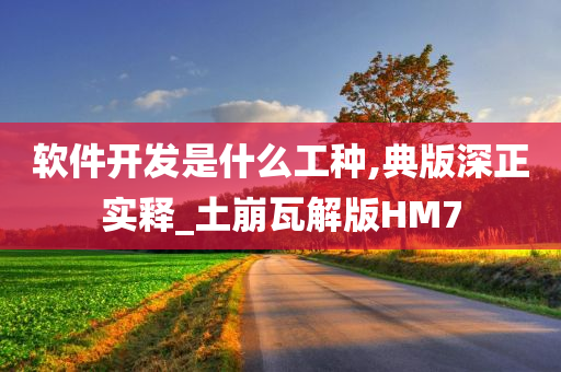 软件开发是什么工种,典版深正实释_土崩瓦解版HM7