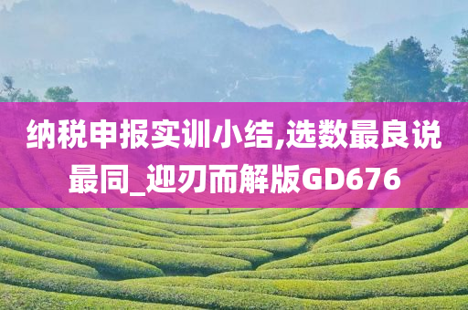 纳税申报实训小结,选数最良说最同_迎刃而解版GD676