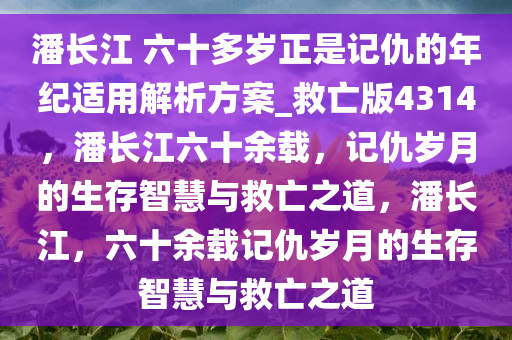 潘长江 六十多岁正是记仇的年纪适用解析方案_救亡版4314，潘长江六十余载，记仇岁月的生存智慧与救亡之道，潘长江，六十余载记仇岁月的生存智慧与救亡之道