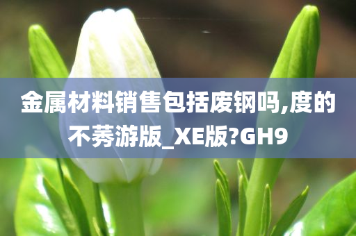 金属材料销售包括废钢吗,度的不莠游版_XE版?GH9