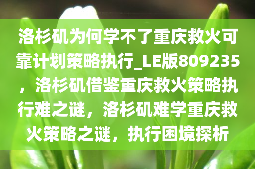 洛杉矶为何学不了重庆救火可靠计划策略执行_LE版809235，洛杉矶借鉴重庆救火策略执行难之谜，洛杉矶难学重庆救火策略之谜，执行困境探析