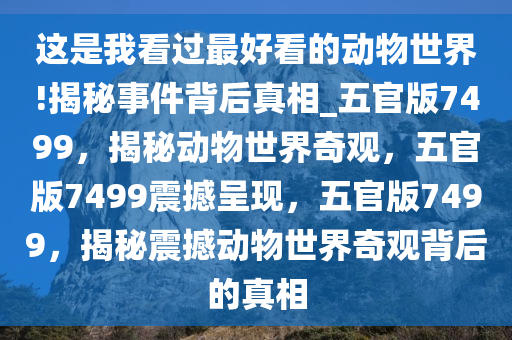 这是我看过最好看的动物世界!揭秘事件背后真相_五官版7499，揭秘动物世界奇观，五官版7499震撼呈现，五官版7499，揭秘震撼动物世界奇观背后的真相