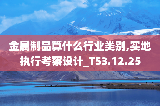 金属制品算什么行业类别,实地执行考察设计_T53.12.25