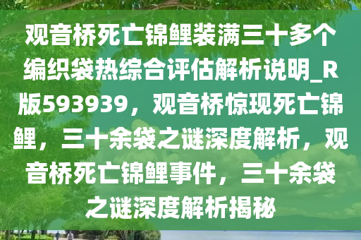 观音桥死亡锦鲤装满三十多个编织袋热综合评估解析说明_R版593939，观音桥惊现死亡锦鲤，三十余袋之谜深度解析，观音桥死亡锦鲤事件，三十余袋之谜深度解析揭秘