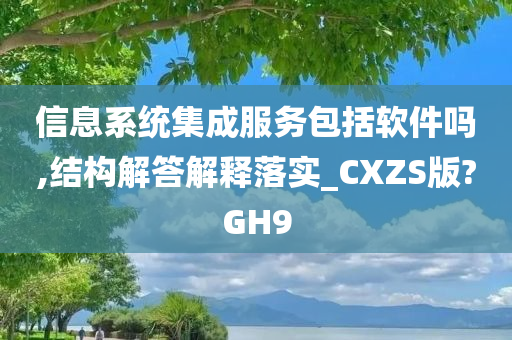 信息系统集成服务包括软件吗,结构解答解释落实_CXZS版?GH9