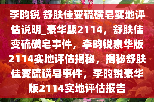 李昀锐 舒肤佳变硫磺皂实地评估说明_豪华版2114，舒肤佳变硫磺皂事件，李昀锐豪华版2114实地评估揭秘，揭秘舒肤佳变硫磺皂事件，李昀锐豪华版2114实地评估报告