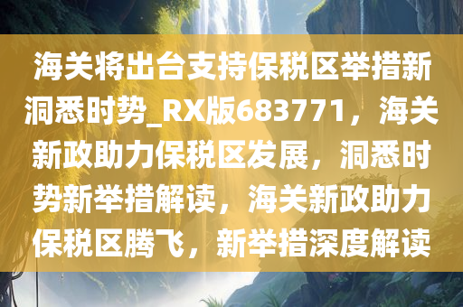 海关将出台支持保税区举措新洞悉时势_RX版683771，海关新政助力保税区发展，洞悉时势新举措解读，海关新政助力保税区腾飞，新举措深度解读