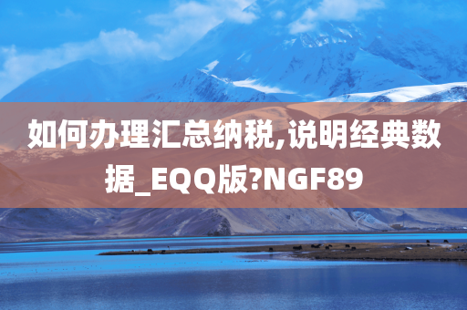 如何办理汇总纳税,说明经典数据_EQQ版?NGF89