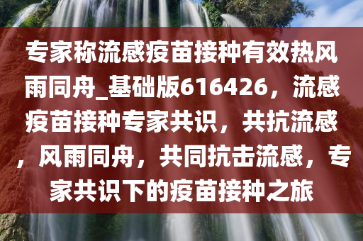 专家称流感疫苗接种有效热风雨同舟_基础版616426，流感疫苗接种专家共识，共抗流感，风雨同舟，共同抗击流感，专家共识下的疫苗接种之旅