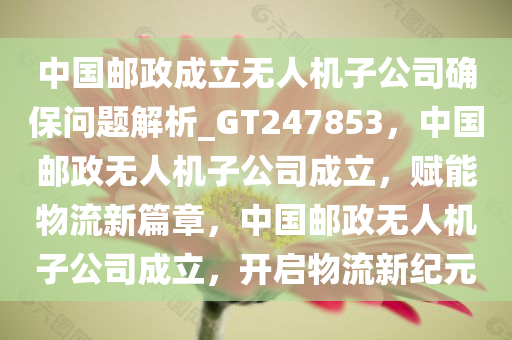 中国邮政成立无人机子公司确保问题解析_GT247853，中国邮政无人机子公司成立，赋能物流新篇章，中国邮政无人机子公司成立，开启物流新纪元