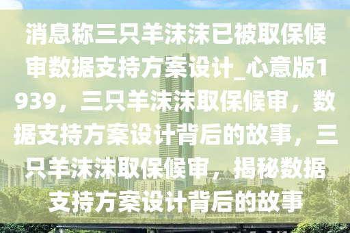 消息称三只羊沫沫已被取保候审数据支持方案设计_心意版1939，三只羊沫沫取保候审，数据支持方案设计背后的故事，三只羊沫沫取保候审，揭秘数据支持方案设计背后的故事