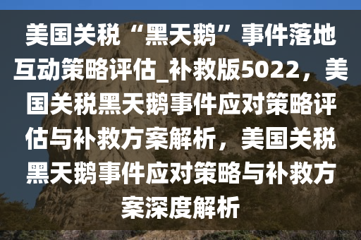 美国关税“黑天鹅”事件落地互动策略评估_补救版5022，美国关税黑天鹅事件应对策略评估与补救方案解析，美国关税黑天鹅事件应对策略与补救方案深度解析