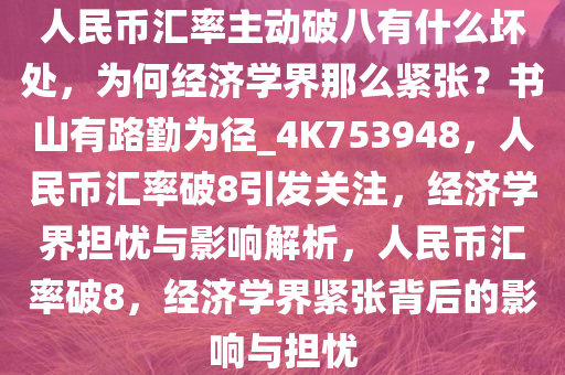 人民币汇率主动破八有什么坏处，为何经济学界那么紧张？书山有路勤为径_4K753948，人民币汇率破8引发关注，经济学界担忧与影响解析，人民币汇率破8，经济学界紧张背后的影响与担忧