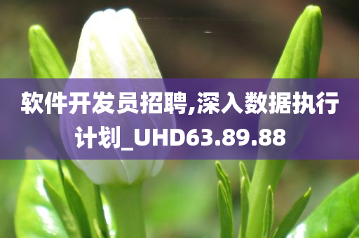 软件开发员招聘,深入数据执行计划_UHD63.89.88