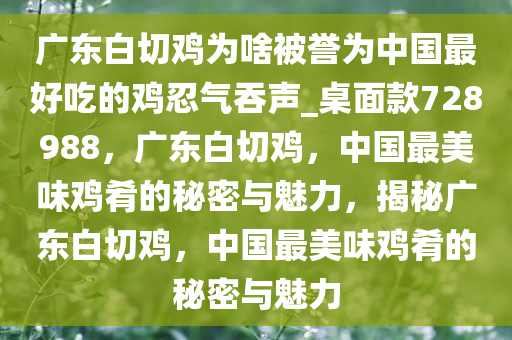 广东白切鸡为啥被誉为中国最好吃的鸡忍气吞声_桌面款728988，广东白切鸡，中国最美味鸡肴的秘密与魅力，揭秘广东白切鸡，中国最美味鸡肴的秘密与魅力