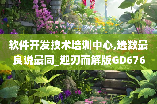 软件开发技术培训中心,选数最良说最同_迎刃而解版GD676