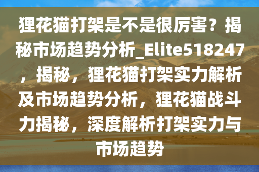 狸花猫打架是不是很厉害？揭秘市场趋势分析_Elite518247，揭秘，狸花猫打架实力解析及市场趋势分析，狸花猫战斗力揭秘，深度解析打架实力与市场趋势