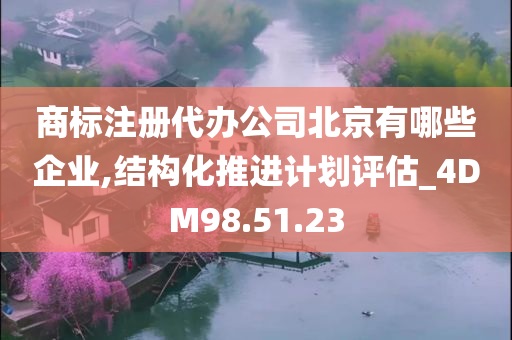 商标注册代办公司北京有哪些企业,结构化推进计划评估_4DM98.51.23