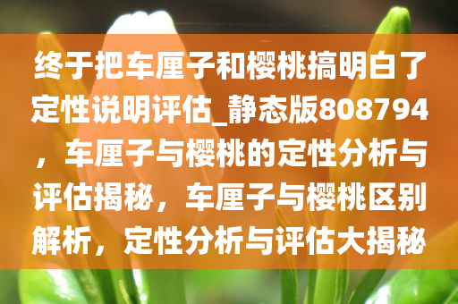 终于把车厘子和樱桃搞明白了定性说明评估_静态版808794，车厘子与樱桃的定性分析与评估揭秘，车厘子与樱桃区别解析，定性分析与评估大揭秘