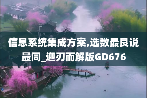 信息系统集成方案,选数最良说最同_迎刃而解版GD676