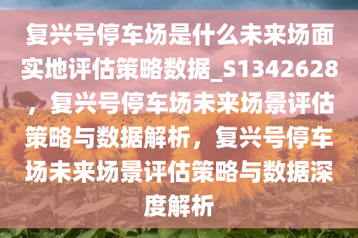 复兴号停车场是什么未来场面实地评估策略数据_S1342628，复兴号停车场未来场景评估策略与数据解析，复兴号停车场未来场景评估策略与数据深度解析