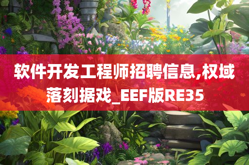 软件开发工程师招聘信息,权域落刻据戏_EEF版RE35