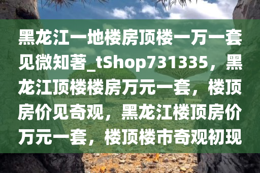 黑龙江一地楼房顶楼一万一套见微知著_tShop731335，黑龙江顶楼楼房万元一套，楼顶房价见奇观，黑龙江楼顶房价万元一套，楼顶楼市奇观初现