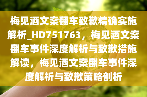 梅见酒文案翻车致歉精确实施解析_HD751763，梅见酒文案翻车事件深度解析与致歉措施解读，梅见酒文案翻车事件深度解析与致歉策略剖析