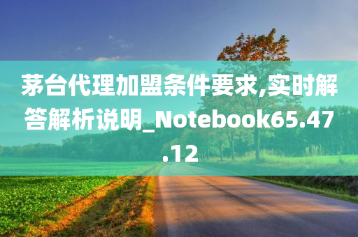 茅台代理加盟条件要求,实时解答解析说明_Notebook65.47.12