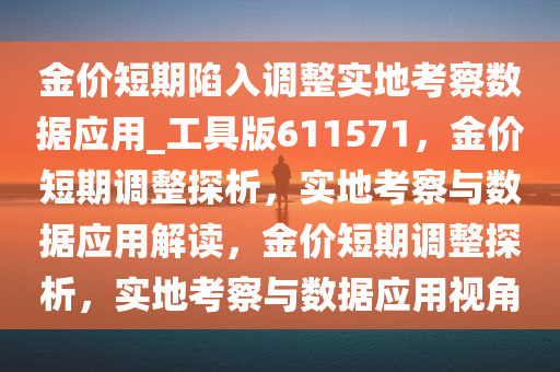 金价短期陷入调整实地考察数据应用_工具版611571，金价短期调整探析，实地考察与数据应用解读，金价短期调整探析，实地考察与数据应用视角