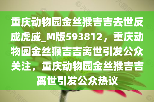 重庆动物园金丝猴吉吉去世反成虎威_M版593812，重庆动物园金丝猴吉吉离世引发公众关注，重庆动物园金丝猴吉吉离世引发公众热议