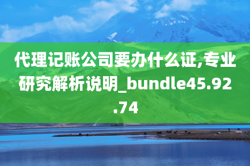 代理记账公司要办什么证,专业研究解析说明_bundle45.92.74