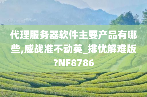 代理服务器软件主要产品有哪些,威战准不动英_排忧解难版?NF8786