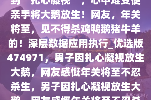 近日，一男子卖自家大鹅时遭到“扎心凝视”，心中难受便亲手将大鹅放生！网友，年关将至，见不得杀鸡鸭鹅猪牛羊的！深层数据应用执行_优选版474971，男子因扎心凝视放生大鹅，网友感慨年关将至不忍杀生，男子因扎心凝视放生大鹅，网友感慨年关将至不忍杀生