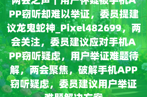 两会之声｜用户怀疑被手机APP窃听却难以举证，委员提建议龙鬼蛇神_Pixel482699，两会关注，委员建议应对手机APP窃听疑虑，用户举证难题待解，两会聚焦，破解手机APP窃听疑虑，委员建议用户举证难题解决方案