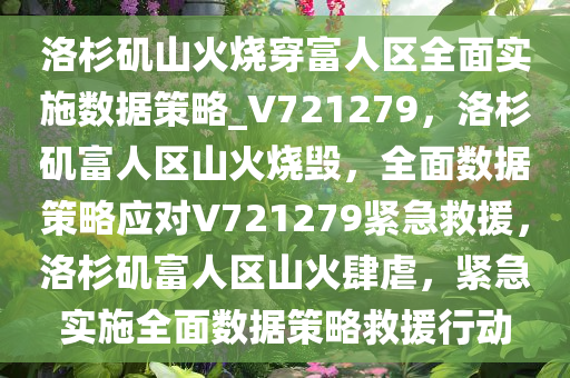 洛杉矶山火烧穿富人区全面实施数据策略_V721279，洛杉矶富人区山火烧毁，全面数据策略应对V721279紧急救援，洛杉矶富人区山火肆虐，紧急实施全面数据策略救援行动