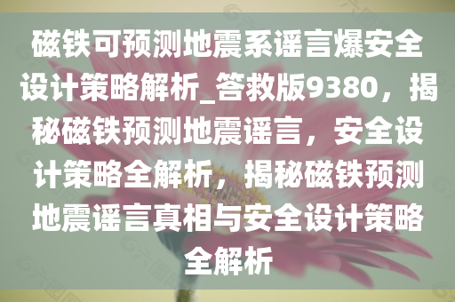 磁铁可预测地震系谣言爆安全设计策略解析_答救版9380，揭秘磁铁预测地震谣言，安全设计策略全解析，揭秘磁铁预测地震谣言真相与安全设计策略全解析