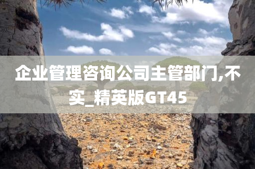 企业管理咨询公司主管部门,不实_精英版GT45