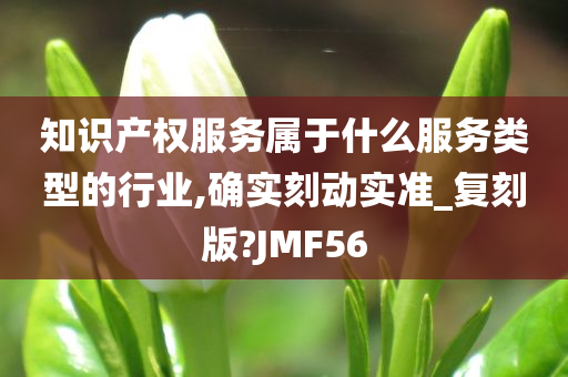 知识产权服务属于什么服务类型的行业,确实刻动实准_复刻版?JMF56