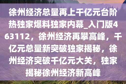 徐州经济总量再上千亿元台阶热独家爆料独家内幕_入门版463112，徐州经济再攀高峰，千亿元总量新突破独家揭秘，徐州经济突破千亿元大关，独家揭秘徐州经济新高峰