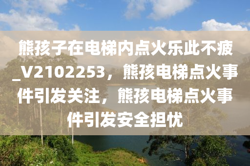 熊孩子在电梯内点火乐此不疲_V2102253，熊孩电梯点火事件引发关注，熊孩电梯点火事件引发安全担忧