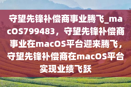 守望先锋补偿商事业腾飞_macOS799483，守望先锋补偿商事业在macOS平台迎来腾飞，守望先锋补偿商在macOS平台实现业绩飞跃