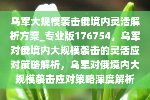 乌军大规模袭击俄境内灵活解析方案_专业版176754，乌军对俄境内大规模袭击的灵活应对策略解析，乌军对俄境内大规模袭击应对策略深度解析