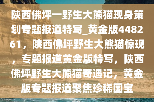 陕西佛坪一野生大熊猫现身策划专题报道特写_黄金版448261，陕西佛坪野生大熊猫惊现，专题报道黄金版特写，陕西佛坪野生大熊猫奇遇记，黄金版专题报道聚焦珍稀国宝