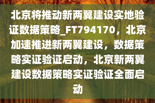 北京将推动新两翼建设实地验证数据策略_FT794170，北京加速推进新两翼建设，数据策略实证验证启动，北京新两翼建设数据策略实证验证全面启动