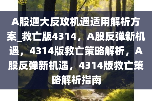 A股迎大反攻机遇适用解析方案_救亡版4314，A股反弹新机遇，4314版救亡策略解析，A股反弹新机遇，4314版救亡策略解析指南