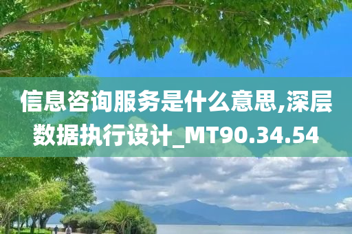 信息咨询服务是什么意思,深层数据执行设计_MT90.34.54