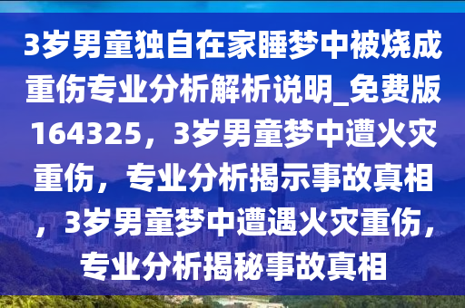 3岁男童独自在家睡梦中被烧成重伤专业分析解析说明_免费版164325，3岁男童梦中遭火灾重伤，专业分析揭示事故真相，3岁男童梦中遭遇火灾重伤，专业分析揭秘事故真相