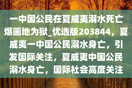 一中国公民在夏威夷溺水死亡爆画地为狱_优选版203844，夏威夷一中国公民溺水身亡，引发国际关注，夏威夷中国公民溺水身亡，国际社会高度关注