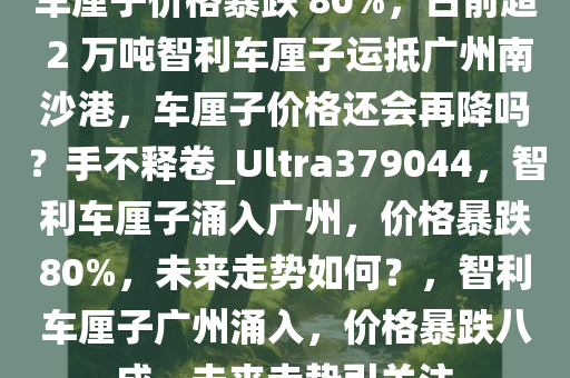 车厘子价格暴跌 80%，日前超 2 万吨智利车厘子运抵广州南沙港，车厘子价格还会再降吗？手不释卷_Ultra379044，智利车厘子涌入广州，价格暴跌80%，未来走势如何？，智利车厘子广州涌入，价格暴跌八成，未来走势引关注